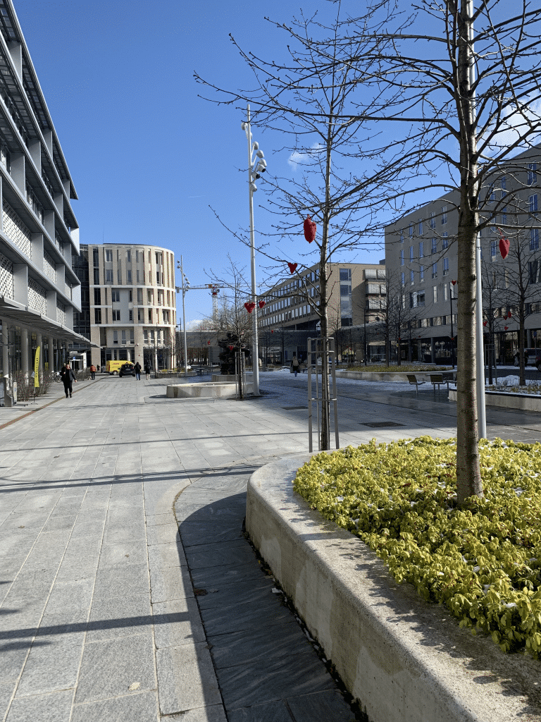 Hjernesvulstkonferansen 2026